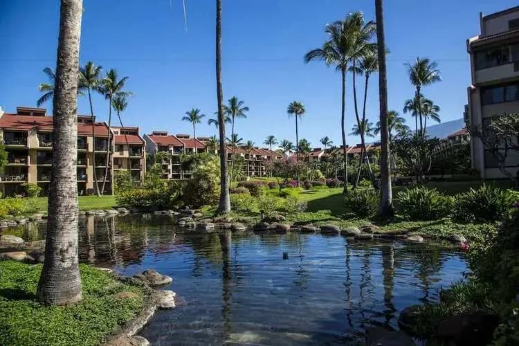 condominium-resorts