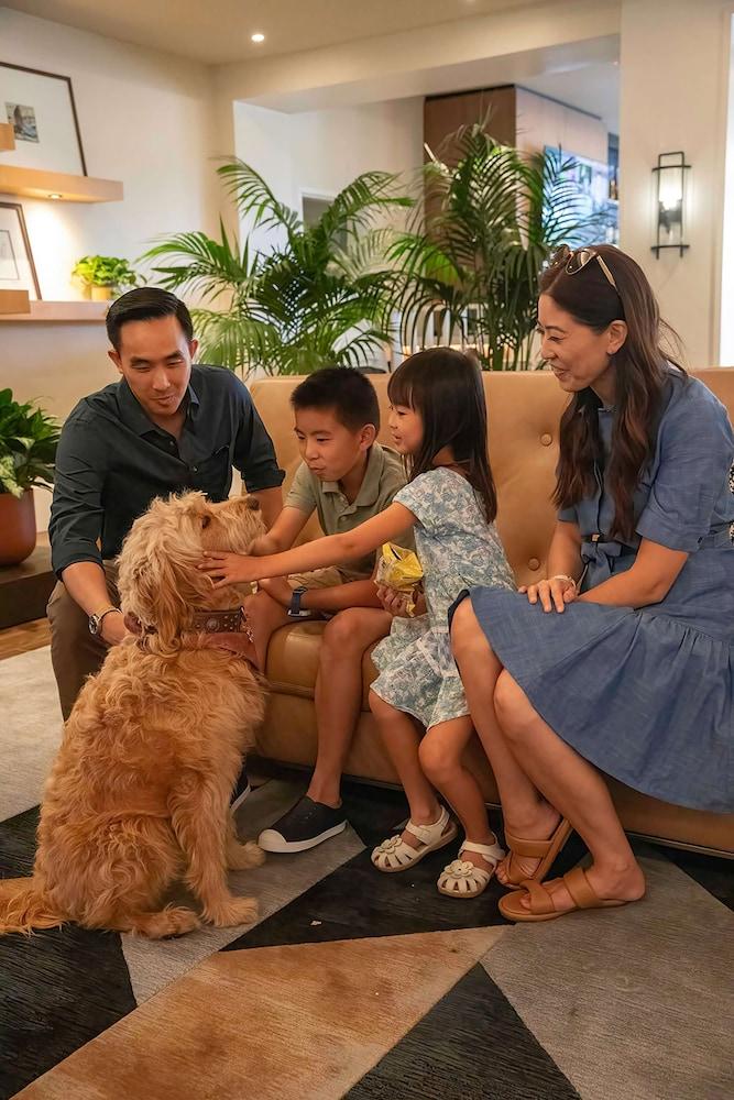 Hyatt Regency Newport Beach