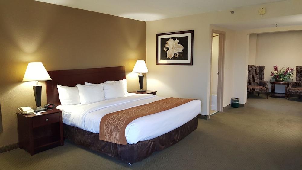 Comfort Inn Cincinnati Northeast