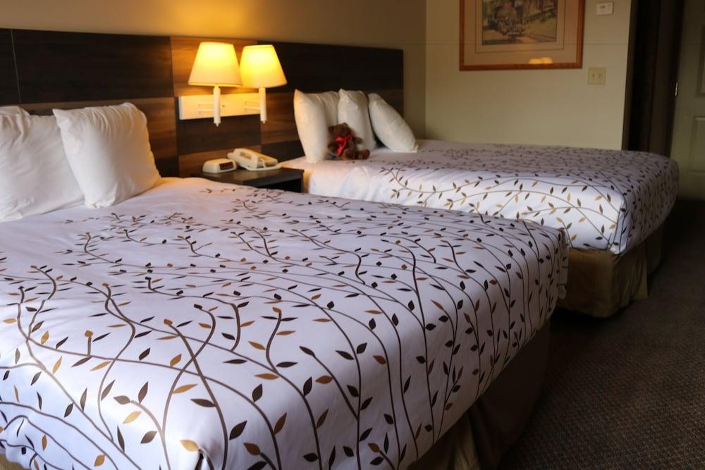 Roosevelt Inn Mount Rushmore