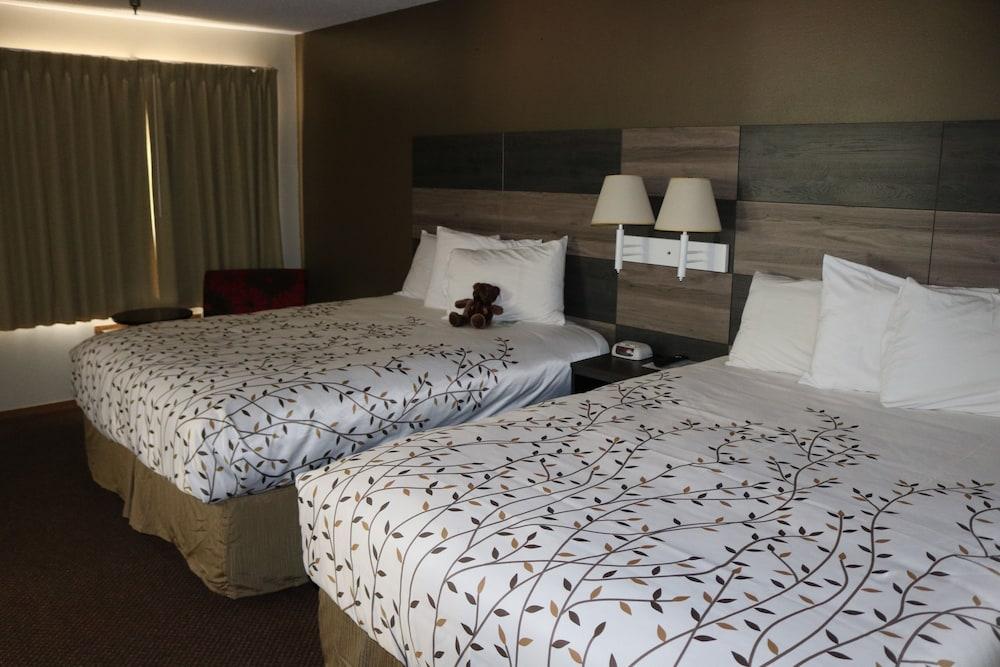 Roosevelt Inn Mount Rushmore