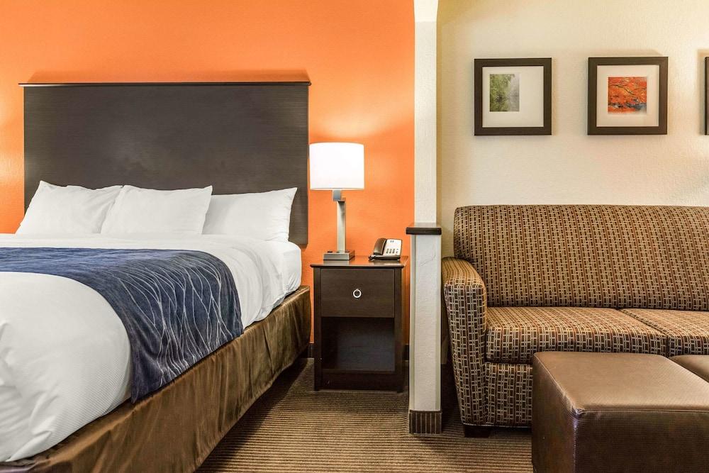 Comfort Inn Wings Stadium