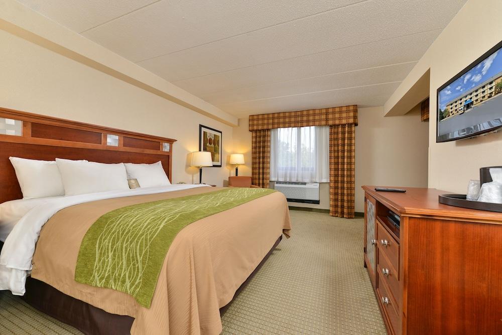 Comfort Inn Herndon - Reston