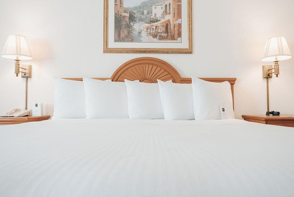 Ann Arbor Regent Hotel & Suites