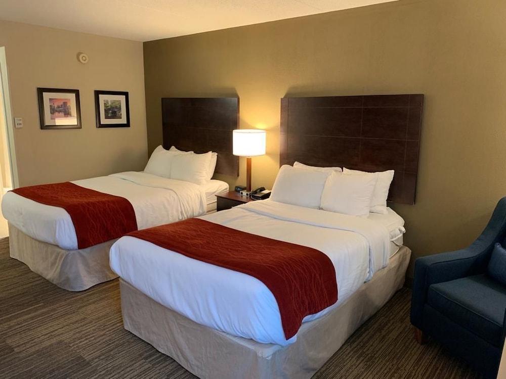 Comfort Inn & Suites East Hartford - Hartford