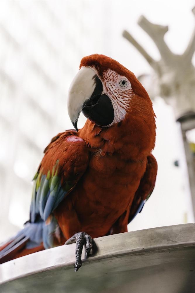 Hyatt Regency Grand Cypress