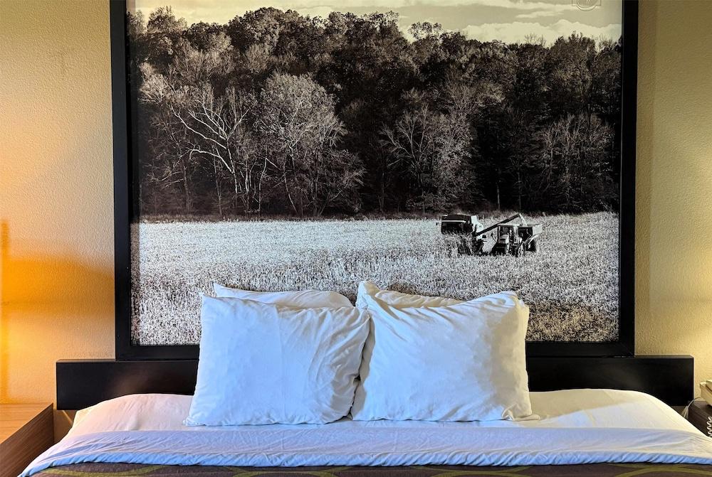 Super 8 by Wyndham Gas City Marion Area