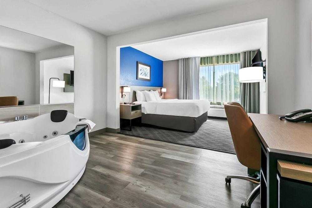 Comfort Inn & Suites Grand Blanc/Flint