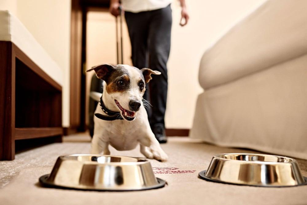 Sheraton Zagreb Hotel