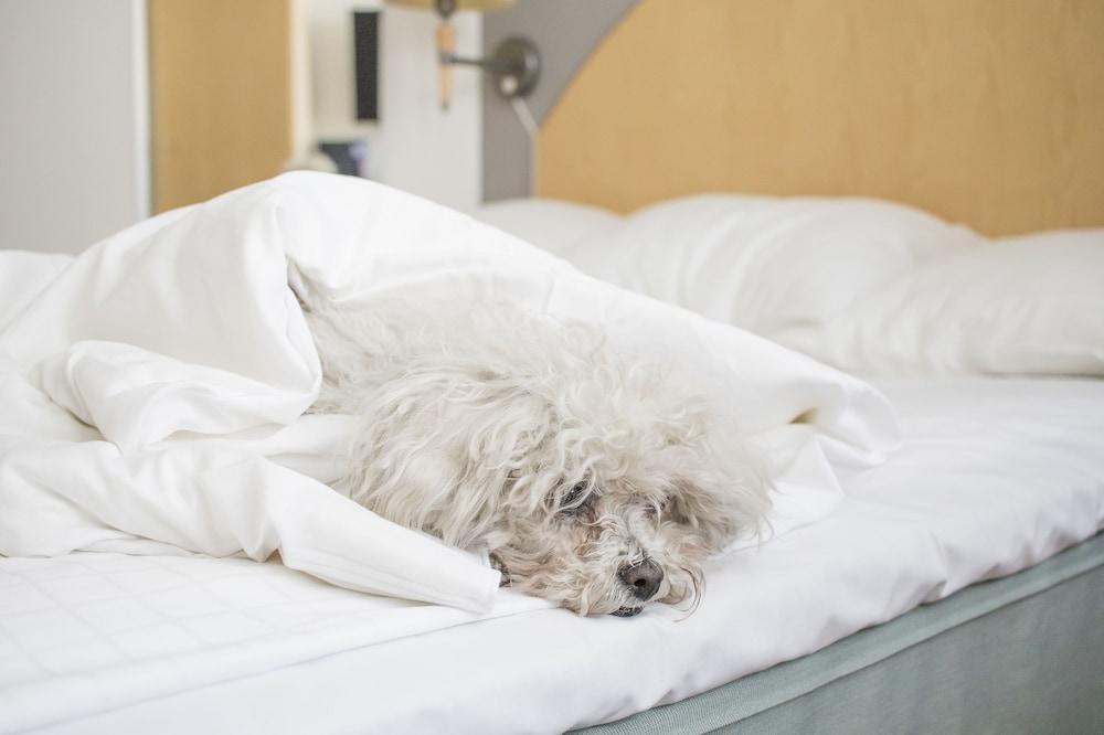 Best Western Eurostop Orebro