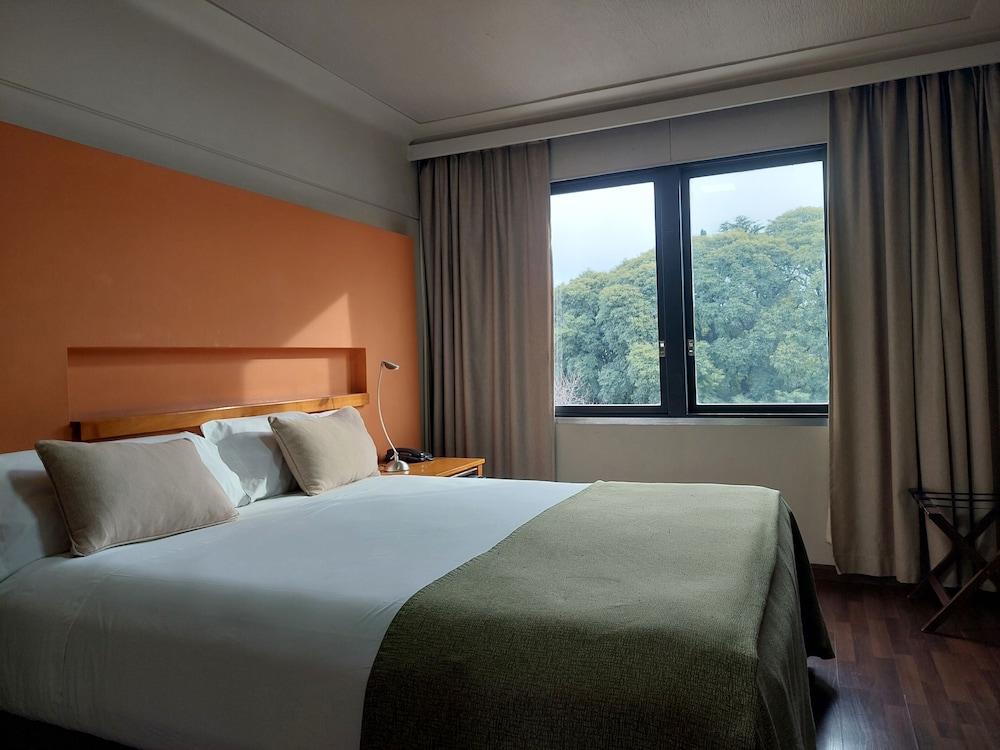 Raices Aconcagua Mendoza