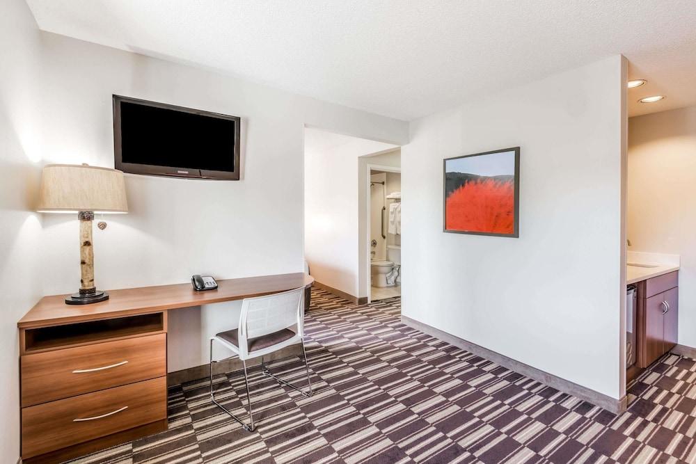 Microtel Inn by Wyndham Victor/Rochester