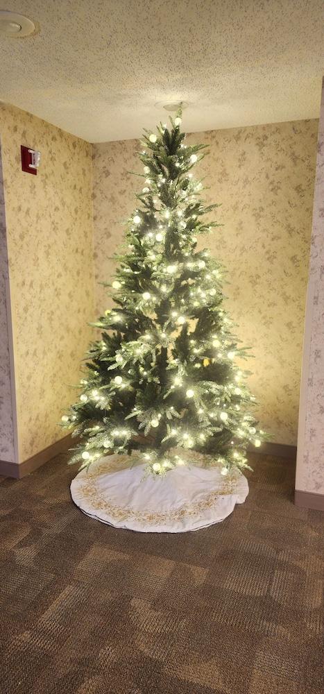 Quality Inn & Suites Bellville - Mansfield