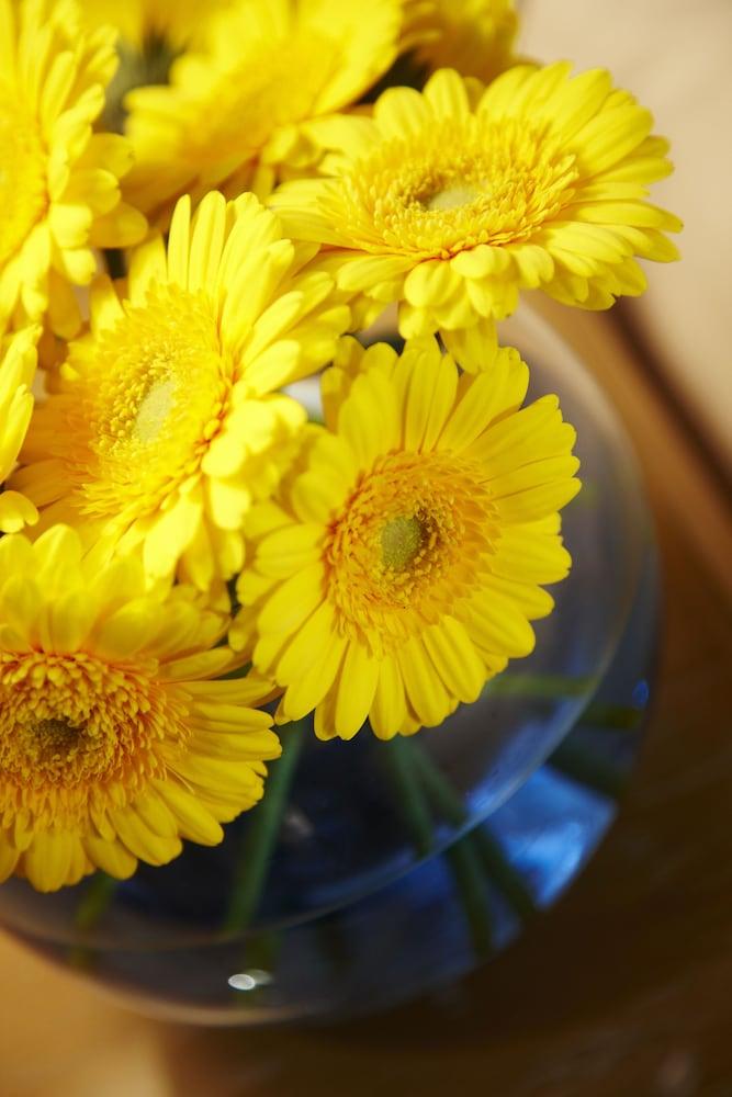 The Norfolk Royale Hotel