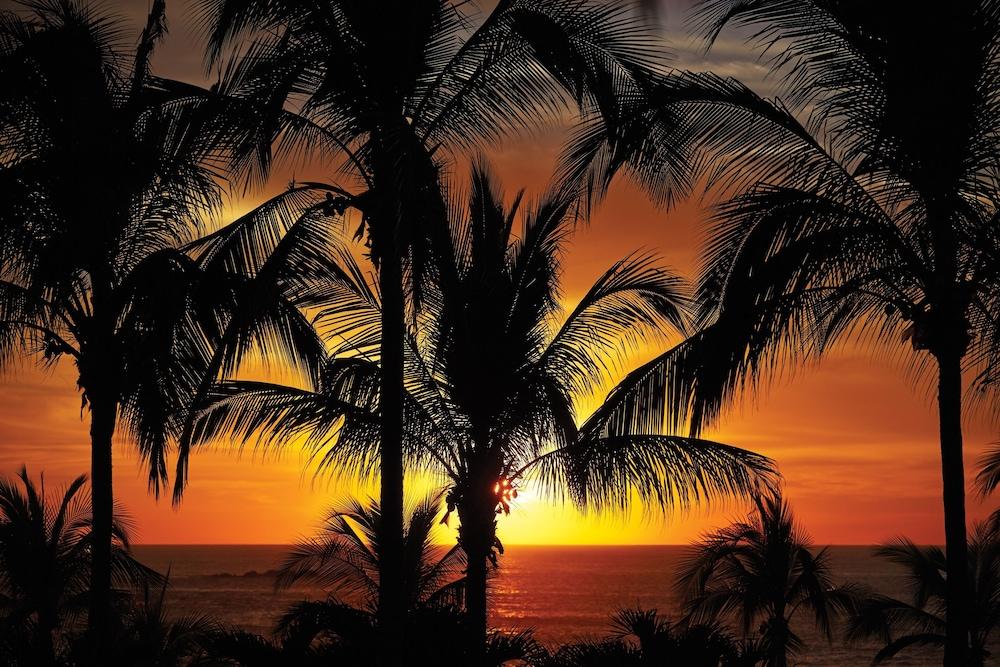 Four Seasons Resort Punta Mita