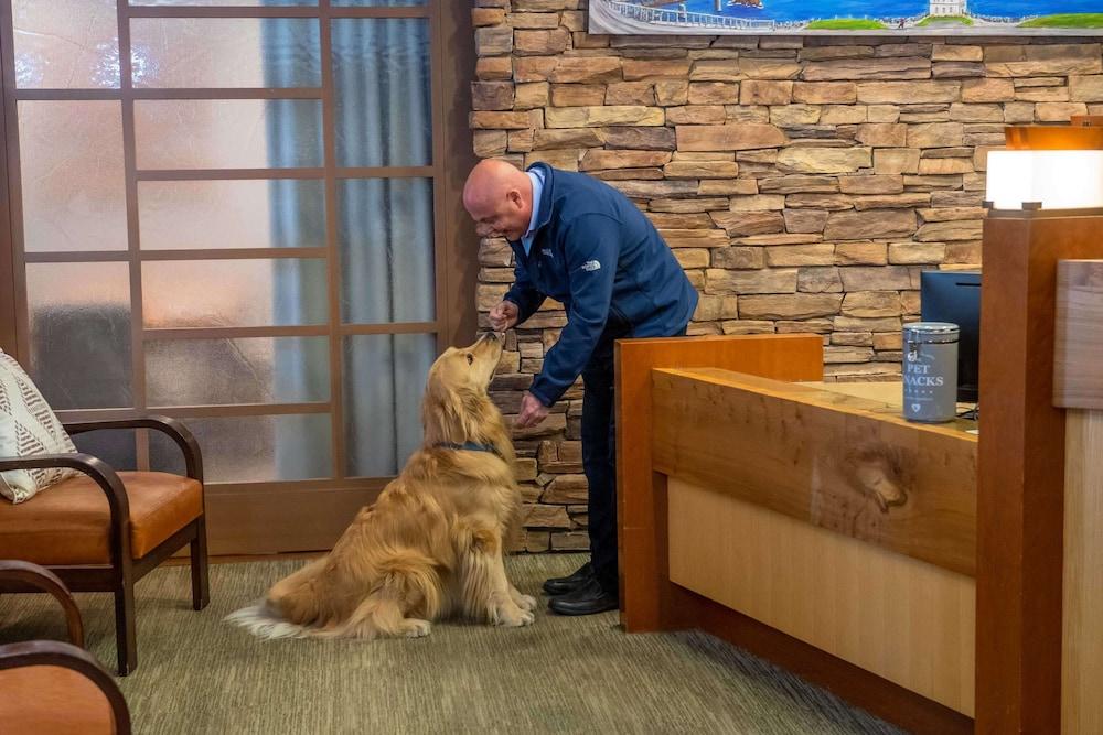 The Lodge at Tiburon