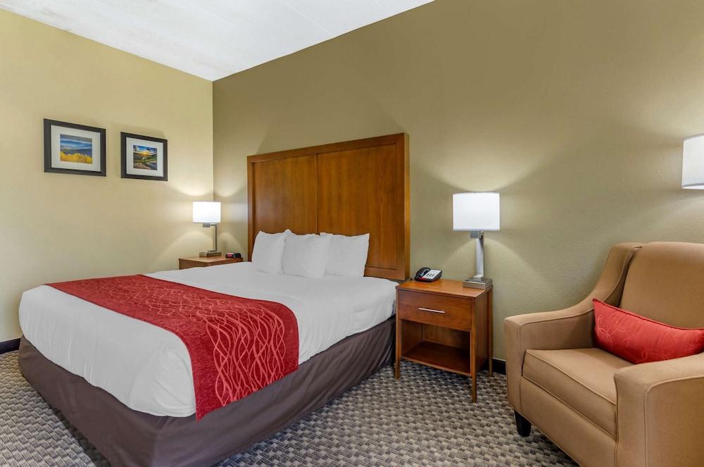 Comfort Inn Waynesboro