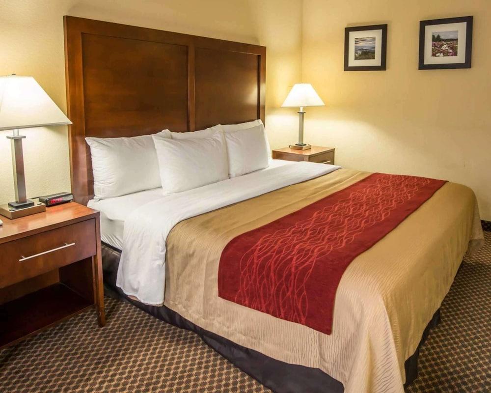Comfort Inn & Suites Morganton South