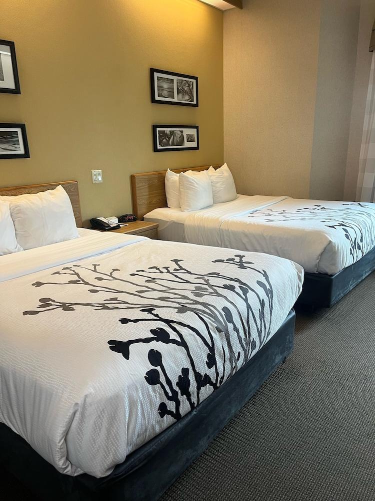 Spark by Hilton Lynchburg