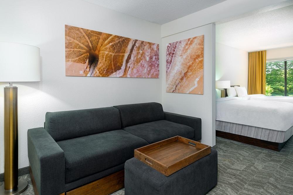 SpringHill Suites by Marriott Asheville