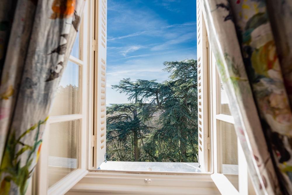 Chateau de Rochecotte