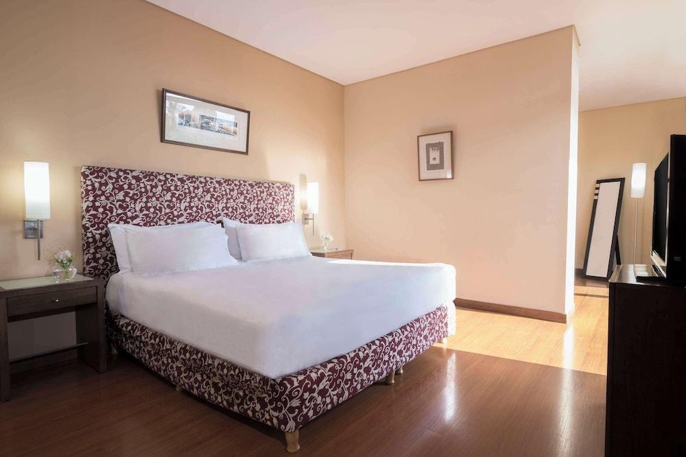 NH Mendoza Cordillera