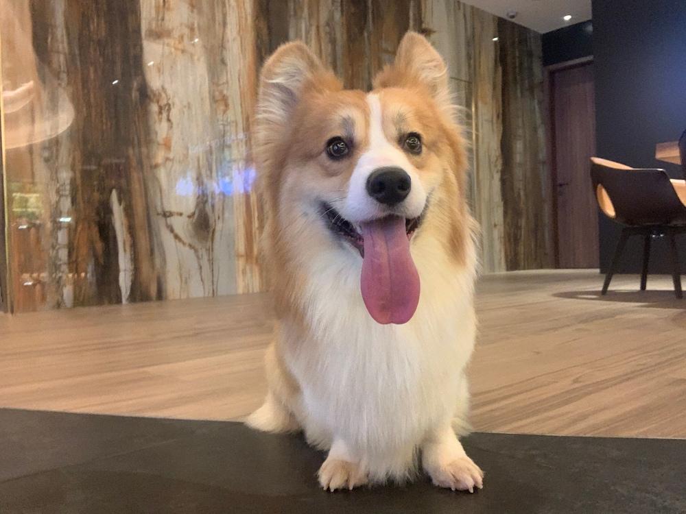 Oasis Avenue – A GDH Hotel