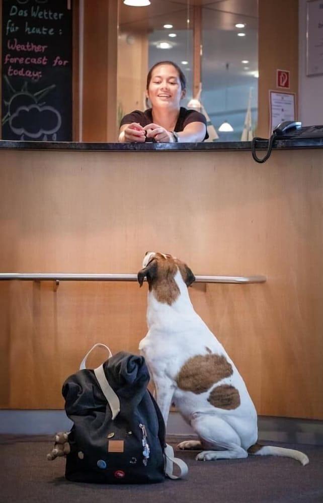 Astralis Hotel Domizil