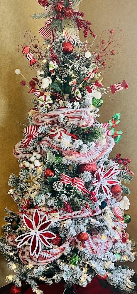 Super 8 by Wyndham Ripley