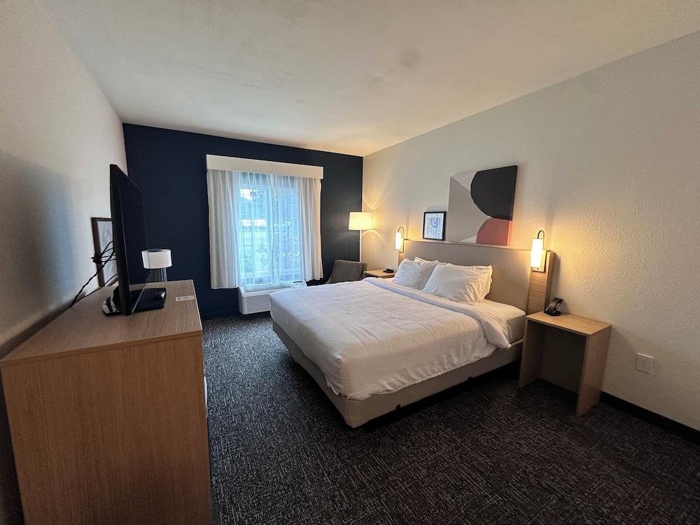 Spark by Hilton Guilford