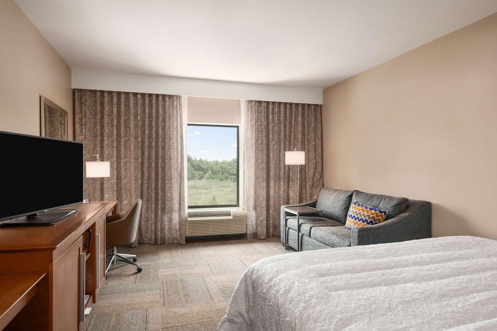 Hampton Inn & Suites Lavonia