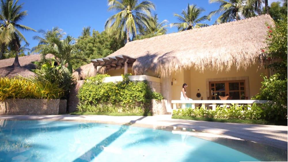 Pulchra - Philippines