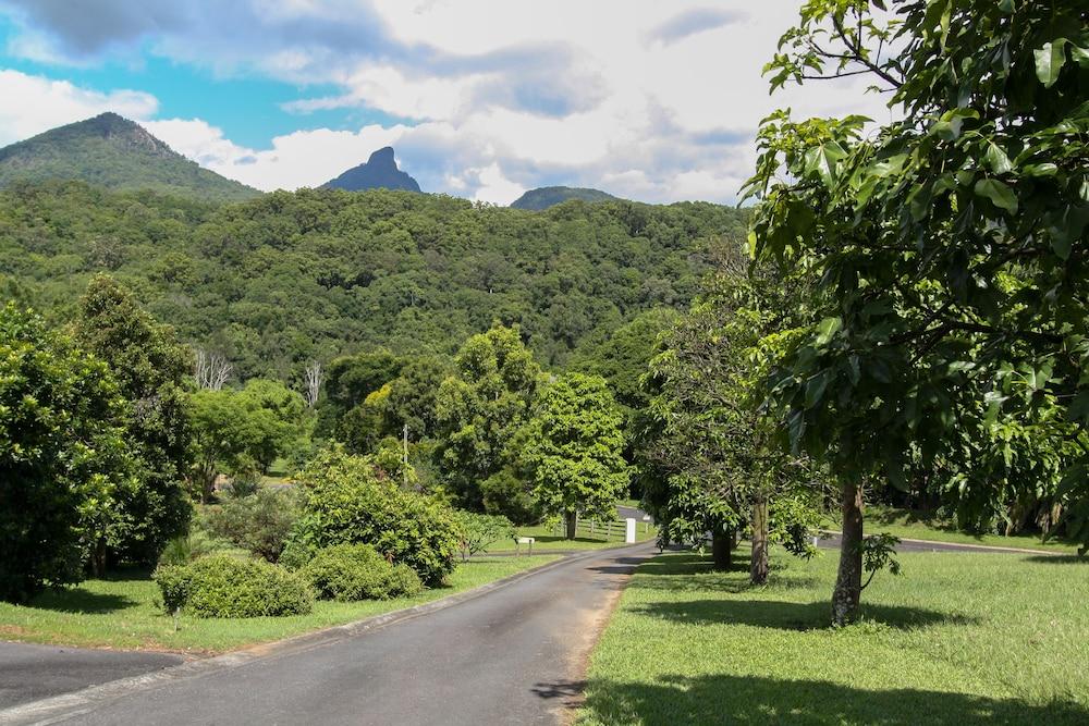 A View of Mt Warning B&B