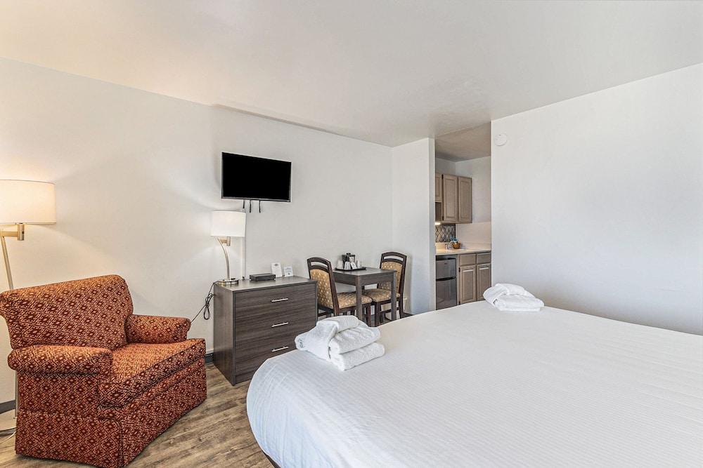 Snyder's Shoreline Inn