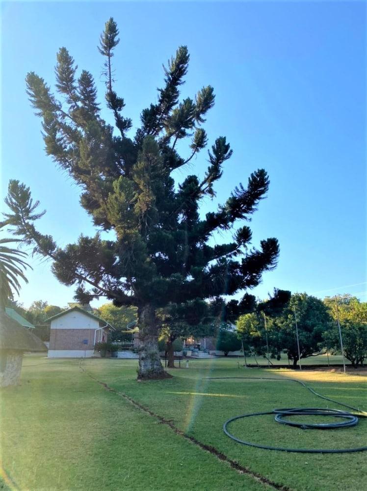 Luxurious Suite With Outdoor Pool - 2171