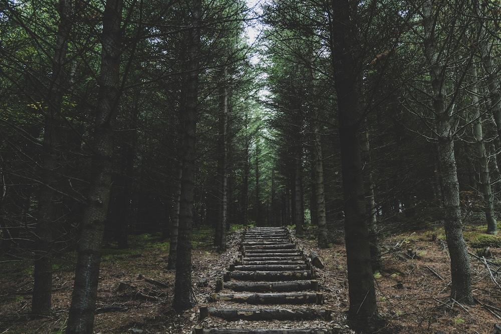 Buubble Hotel-Ölvisholt