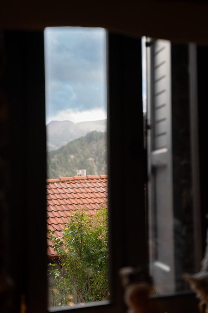 Dandy Villas Metsovo