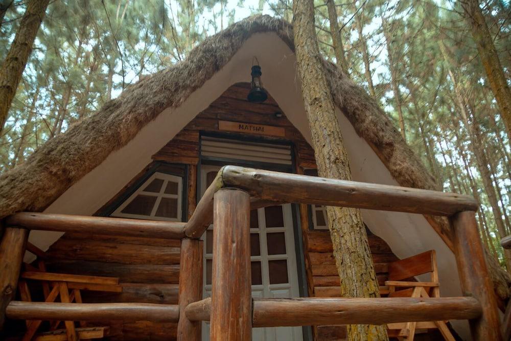 Nyungu Yamawe Forest Park