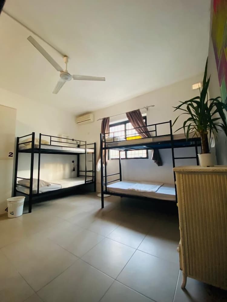 The Paceville International House.