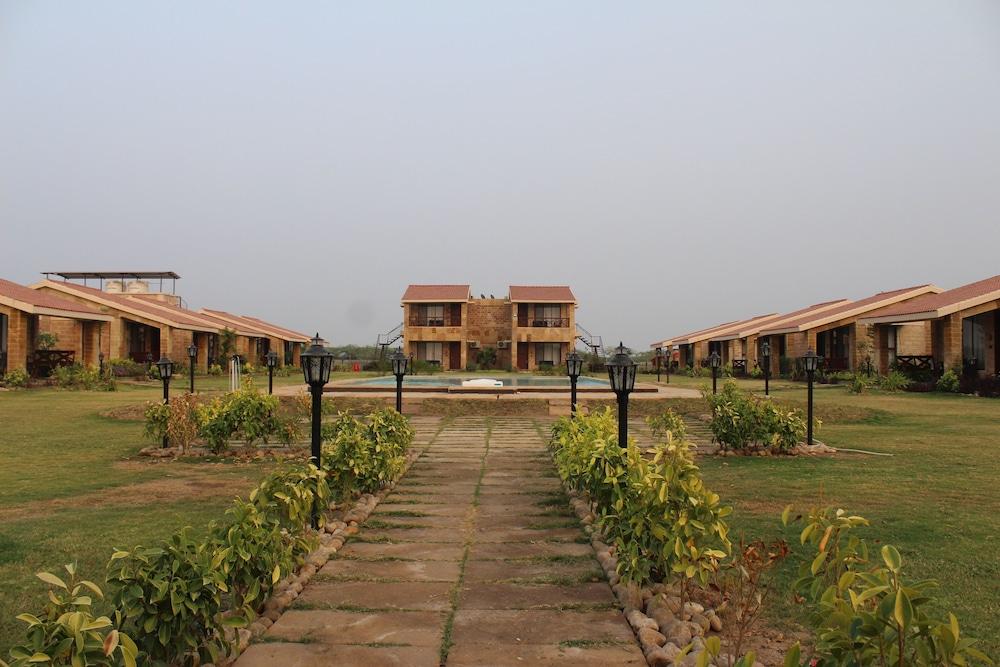 The Blackbuck Trails Velavadar