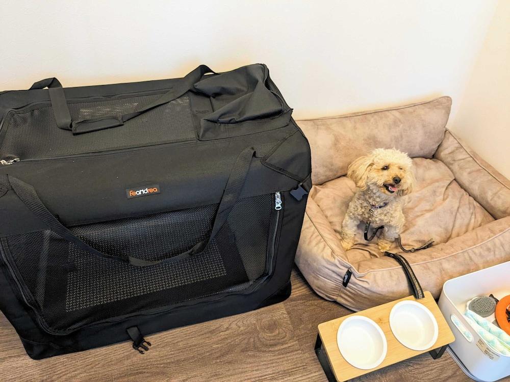 B/C APARTMENT Asakusa Hanazono Dori Hotel with Rental Car and Sauna