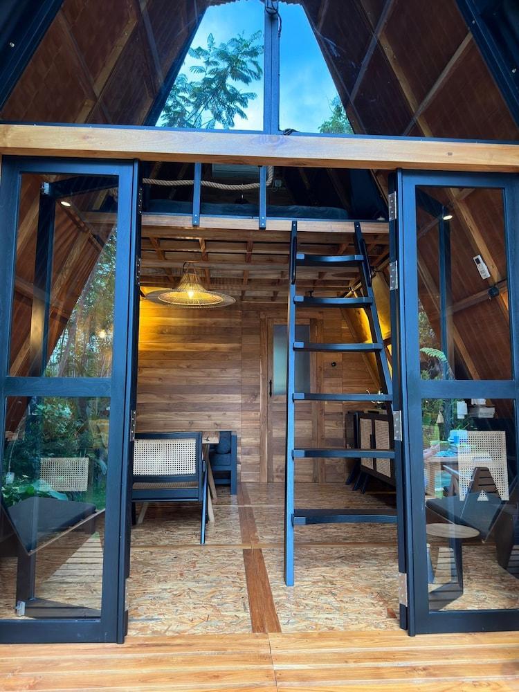 Villa Verde the garden