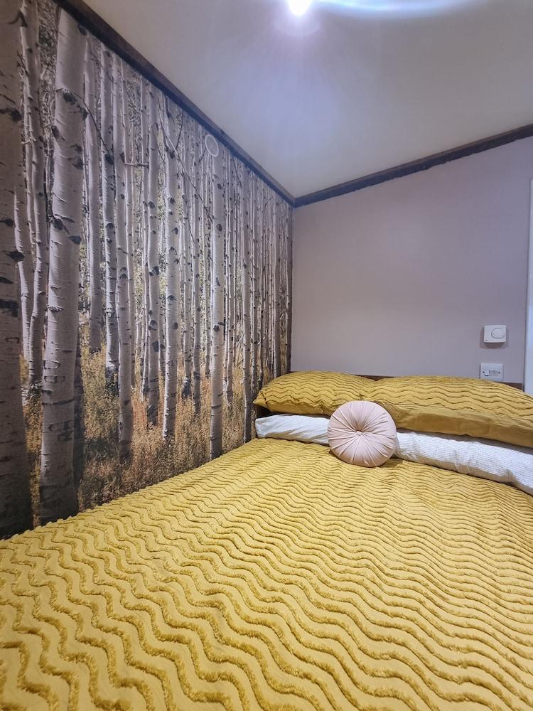 Forestview Cabin No 1 - Cosy Cabin Stay