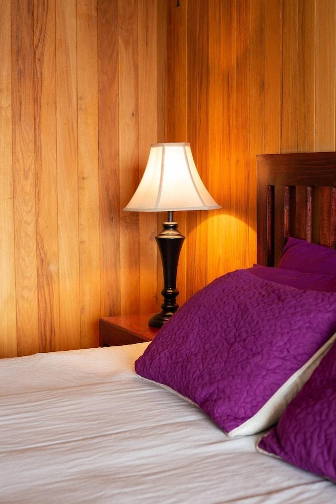 Incredible Apartment Reforma 3rooms Great Location