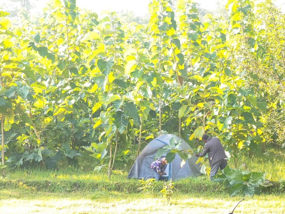 Namaste Bardiya Resort