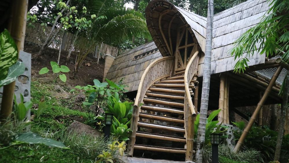 The Osing Bamboo - A Liberta Collection