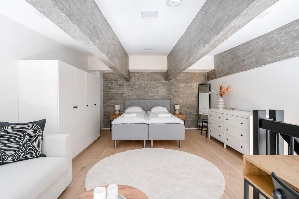 Fabulous & Historical Top Floor Loft in Pyynikki