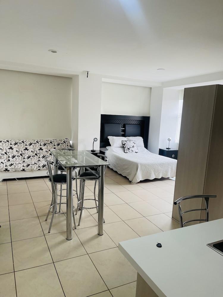 The Carso Alameda Luxury Lofts