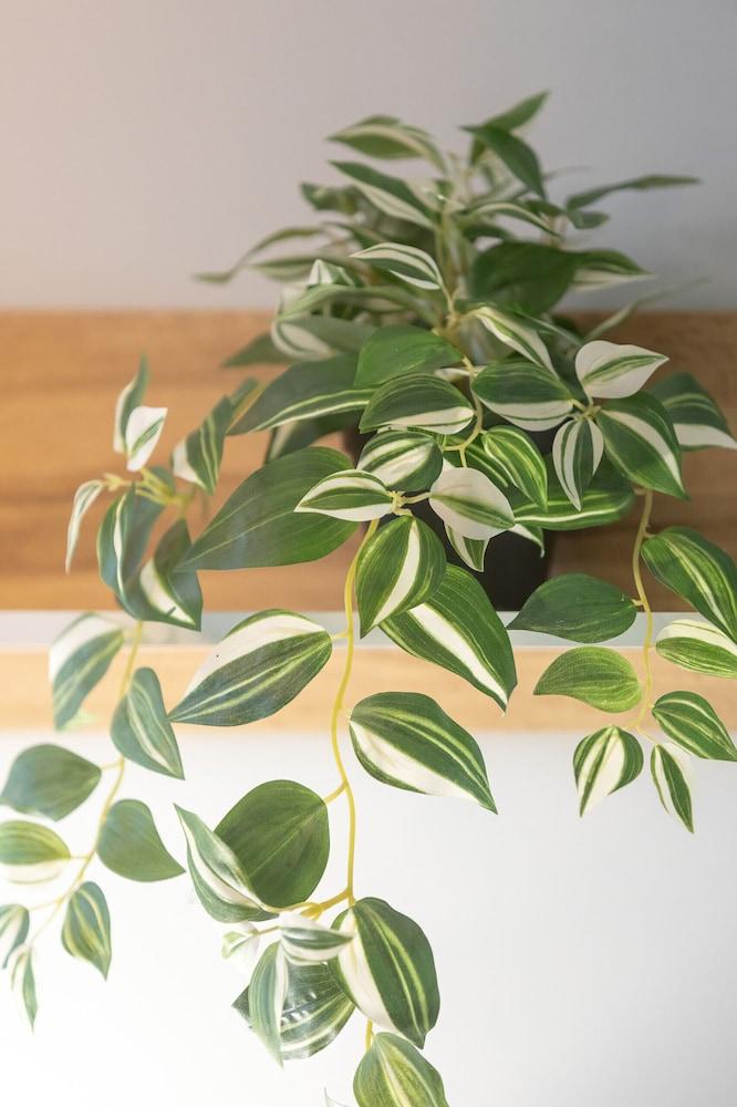 Unique Bright Apartment by Renters