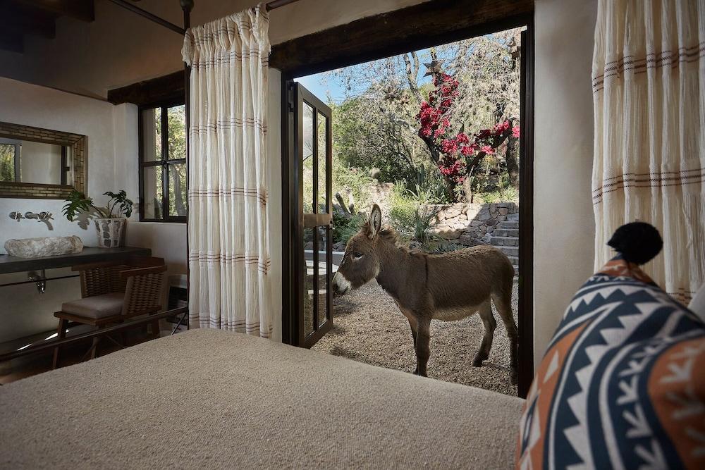 Sagrada Holistic Ranch